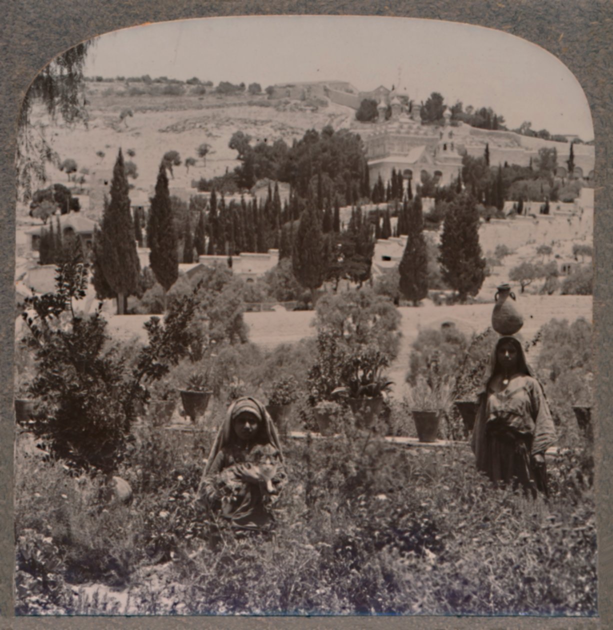 Ogród Getsemani i Góra Oliwna z ogrodów greckich, ok. 1900 autorstwa Unbekannt