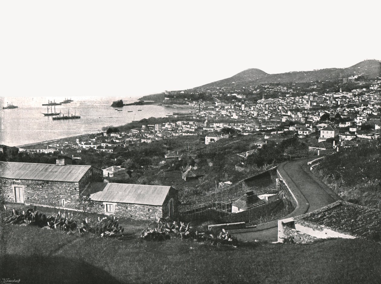 Widok ogólny Funchal, Madera, Portugalia, 1895. autorstwa Unbekannt