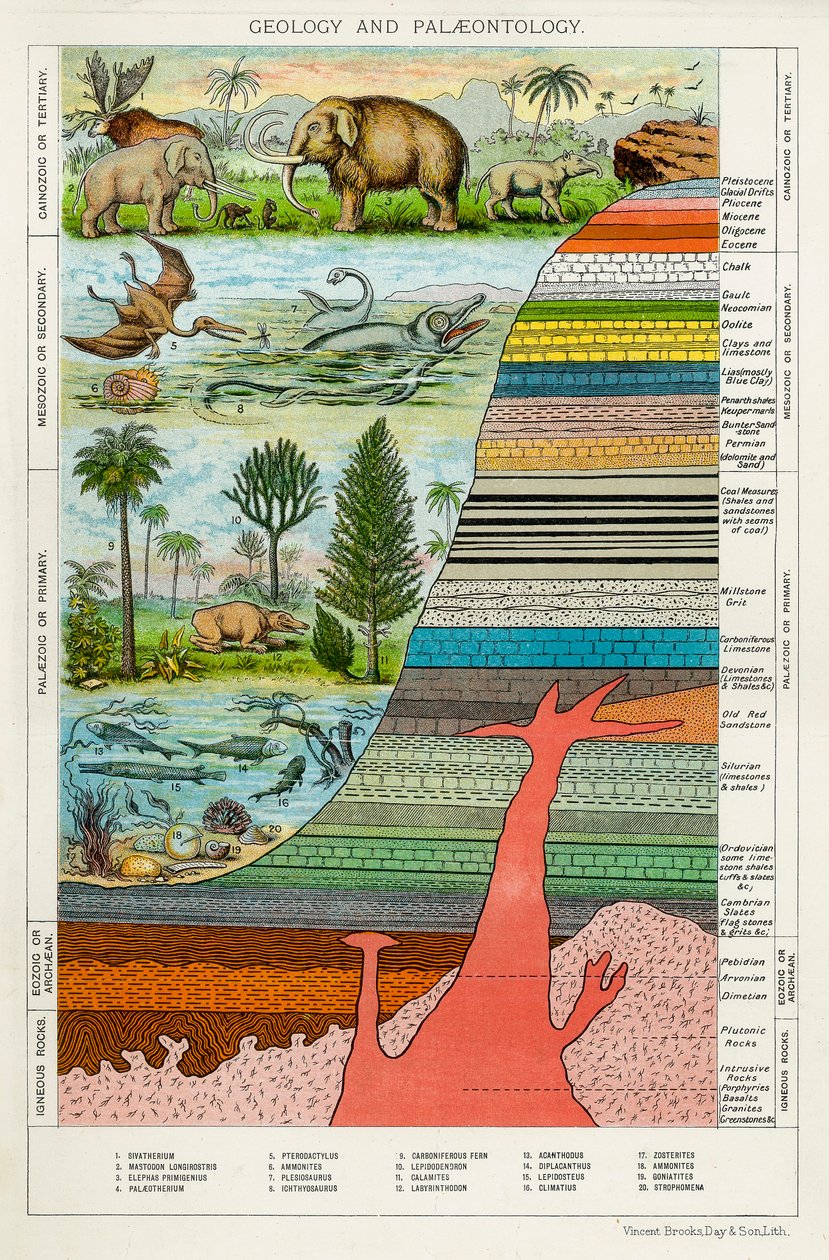Geologia i Paleontologia, ok. 1880 autorstwa Unbekannt
