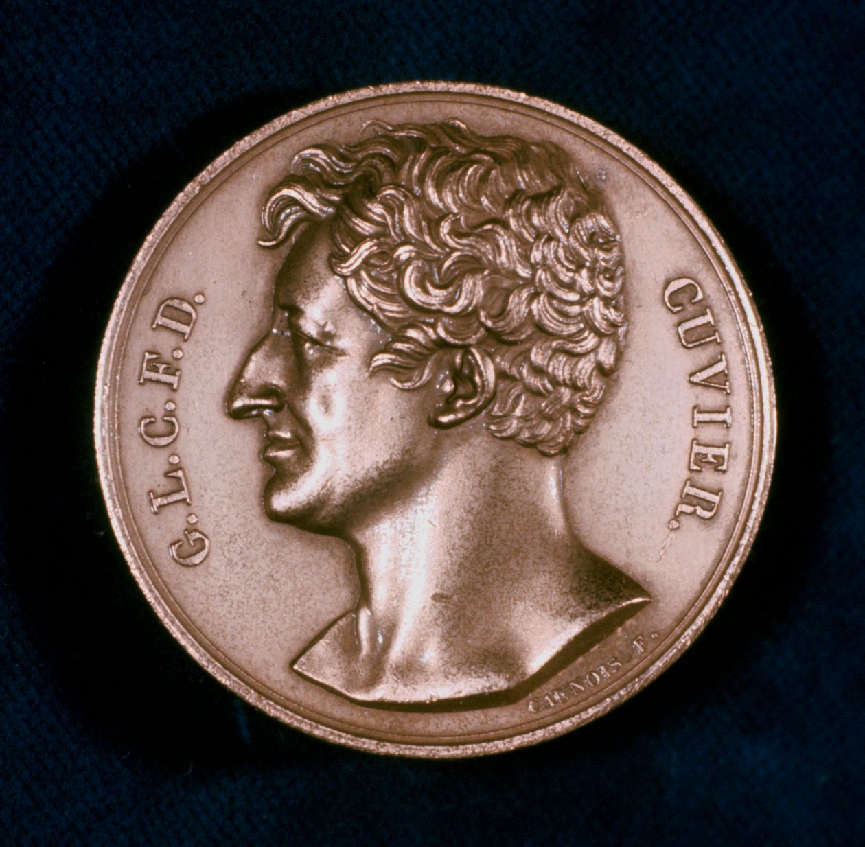 Georges Leopold Chretien Frederic Dagobert, Baron Cuvier, francuski anatom, XIX w. autorstwa Unbekannt
