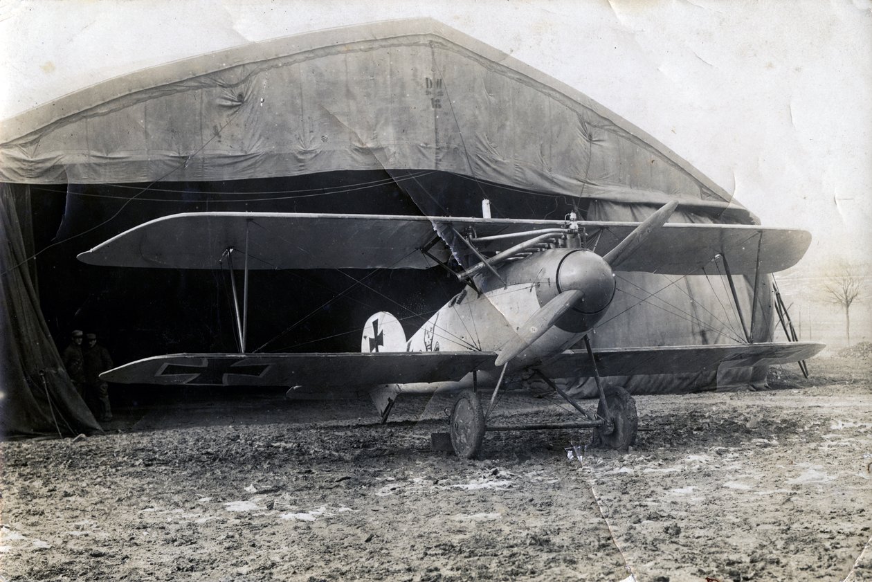 Niemiecki Albatros DV, Souilly, Francja, 2 stycznia 1918 autorstwa Unbekannt