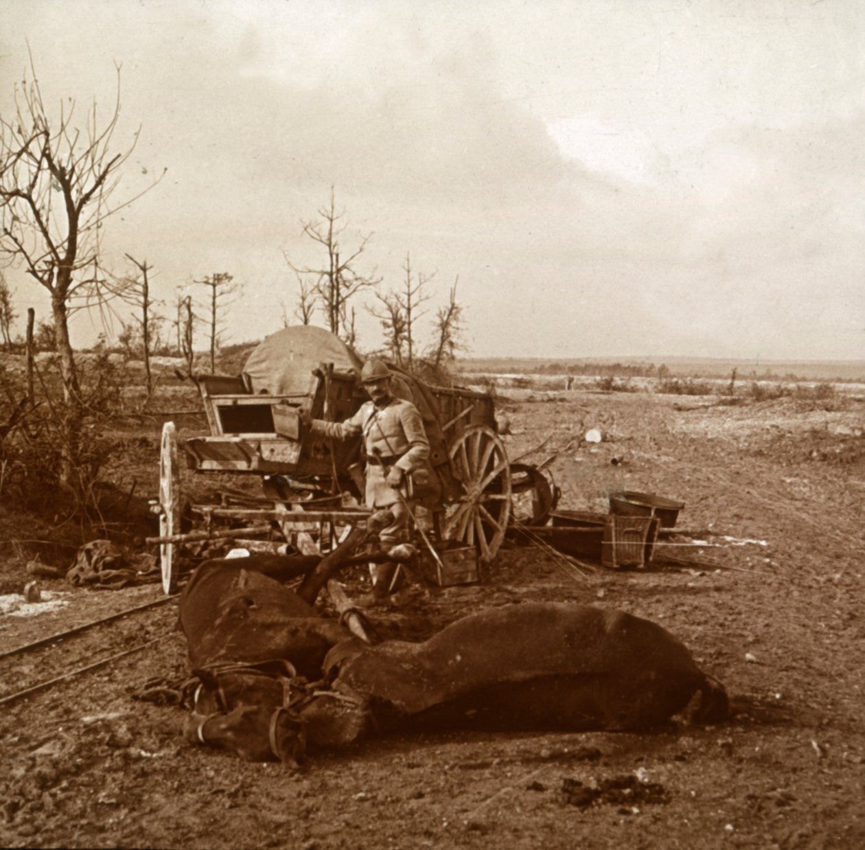Niemiecki pojazd konny, Tahure, północna Francja, c1914-c1918 autorstwa Unbekannt