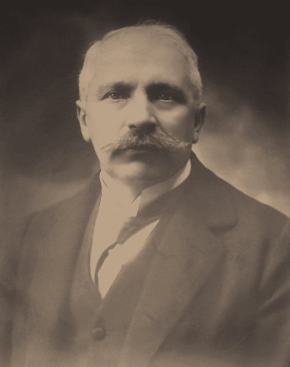Giacomo Luigi Ciamician autorstwa Unbekannt