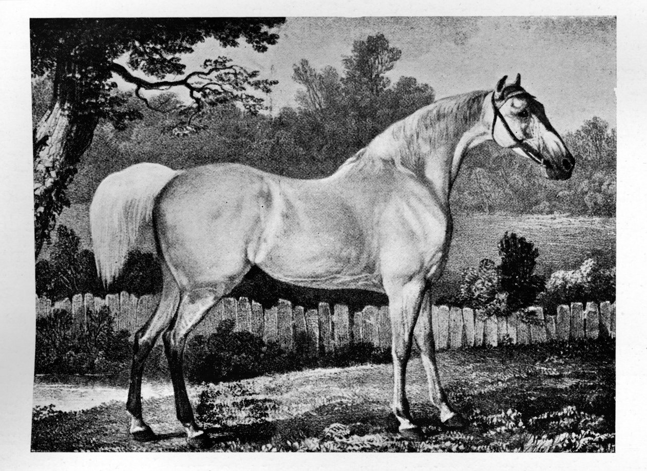 Gimcrack, 1760-1777, 1911 autorstwa Unbekannt