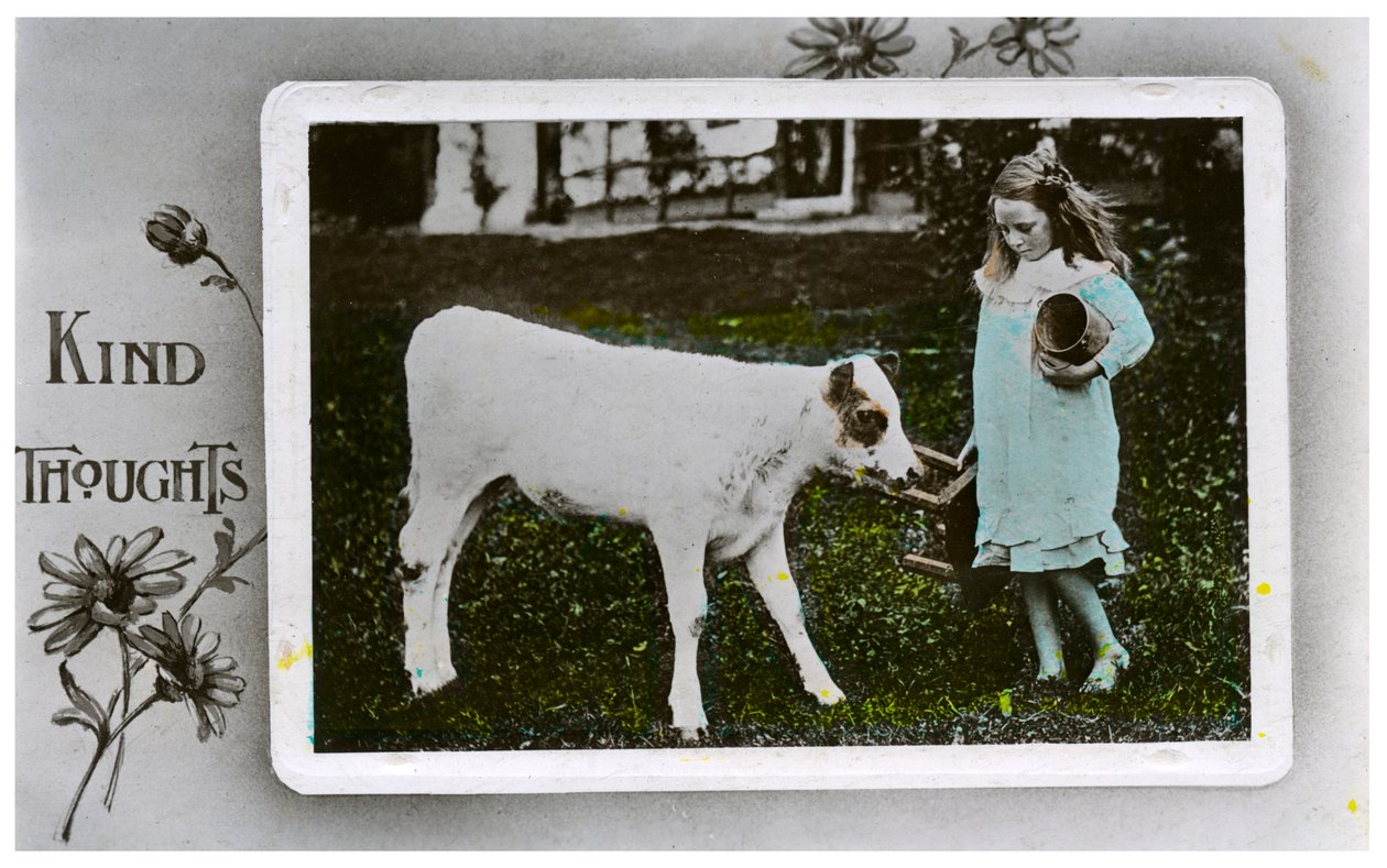 Dziewczyna przy dojeniu krowy, kartka z życzeniami, c1890-1910 autorstwa Unbekannt