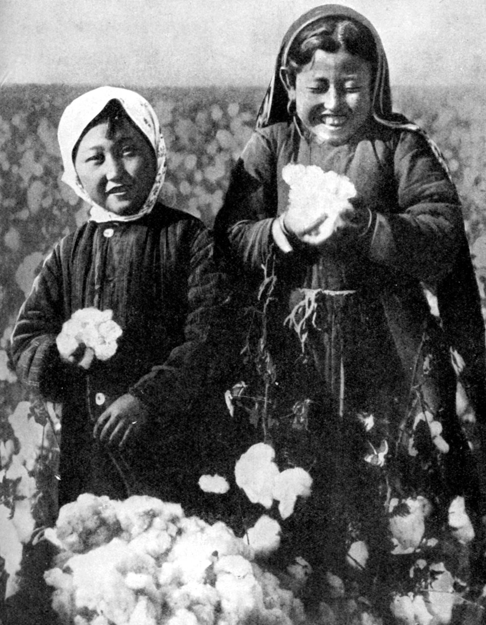 Dziewczyny na polu bawełny, Kazachstan, 1936 autorstwa Unbekannt
