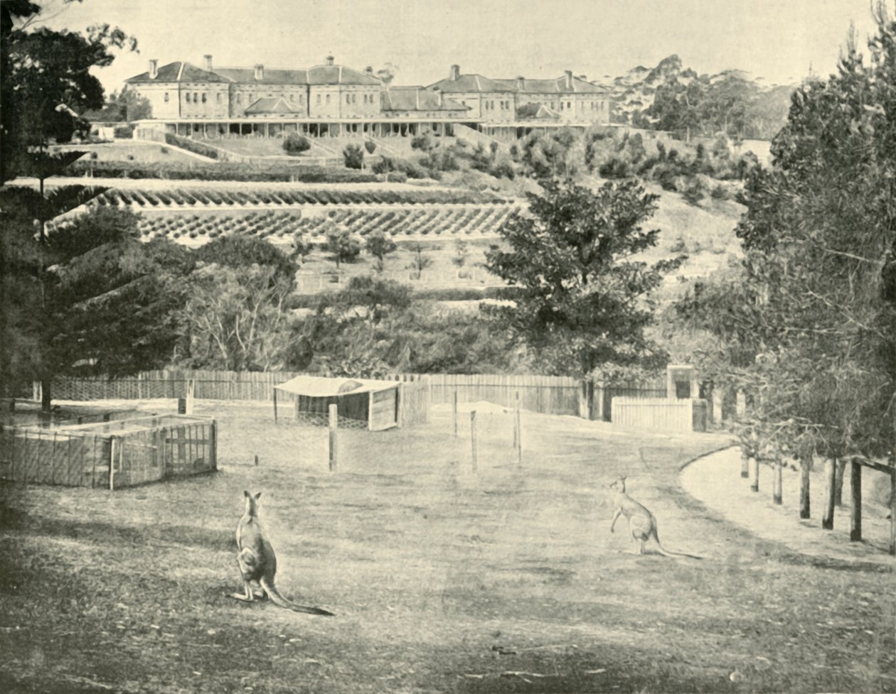 Gladesville Azyl dla Obłąkanych, Nowa Południowa Walia, 1901. autorstwa Unbekannt