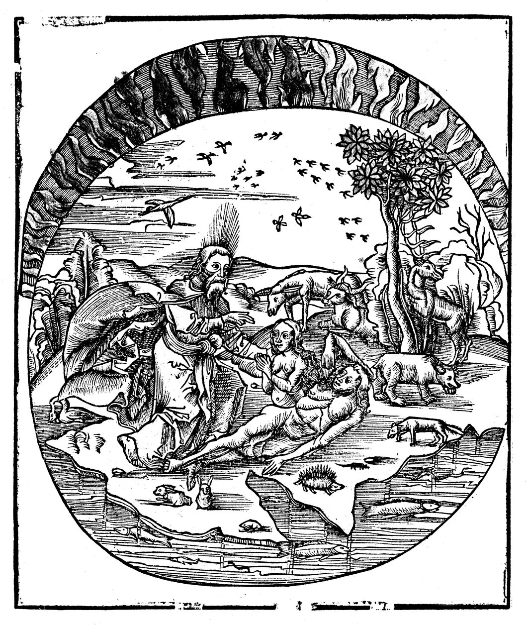Bóg tworzący Ewę z żebra Adamsa, 1508 autorstwa Unbekannt