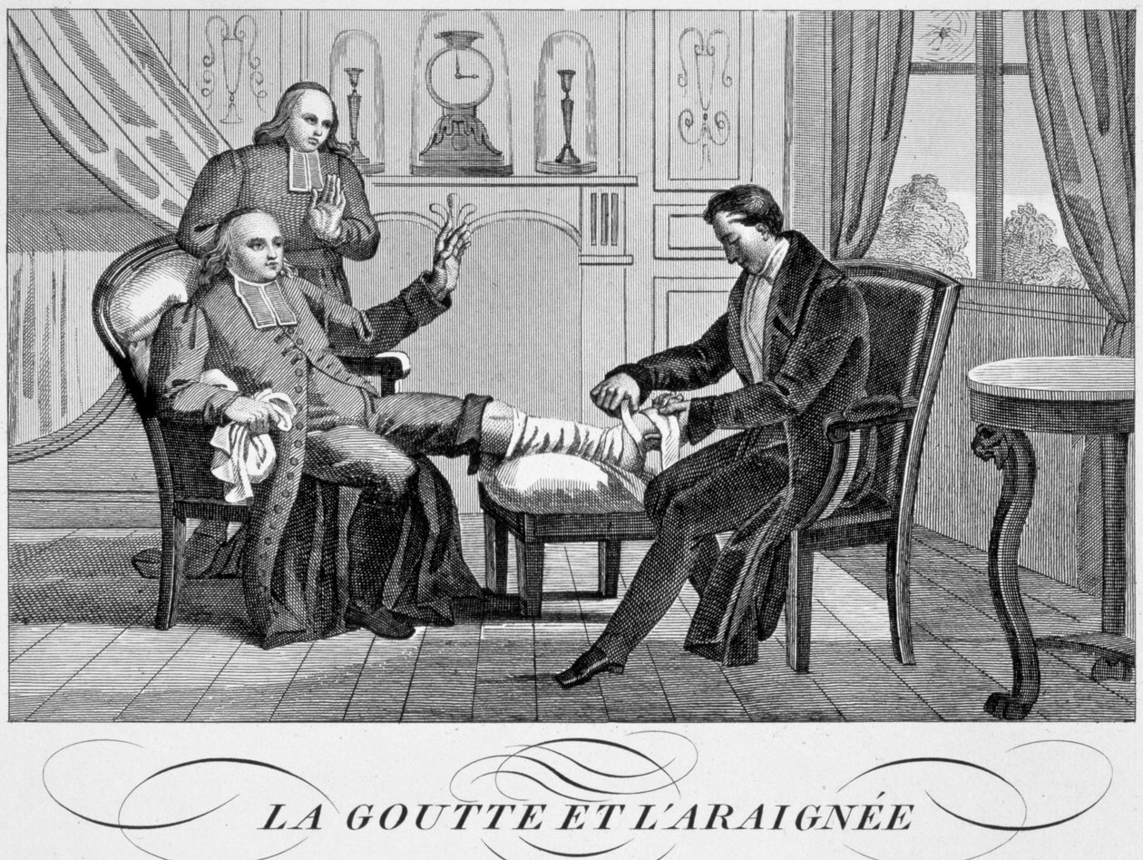 Dna moczanowa i pająk, c1835 autorstwa Unbekannt