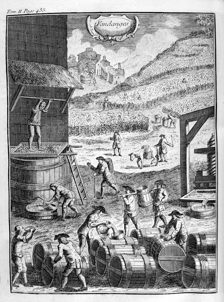 Zbiór winogron, 1775 autorstwa Unbekannt