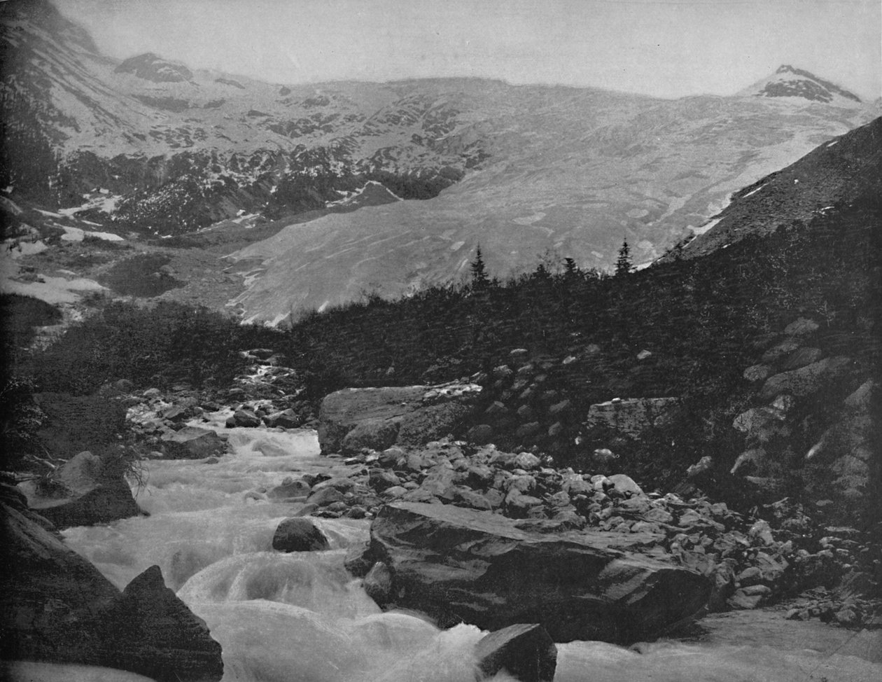 Wielki Lodowiec, Góry Selkirk, Kanada, c1897. autorstwa Unbekannt