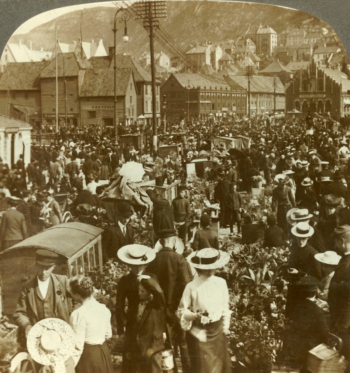 Wielki targ ruchliwego Bergen, targ kwiatowy N. do targu rybnego, Norwegia, ok. 1905. autorstwa Unbekannt