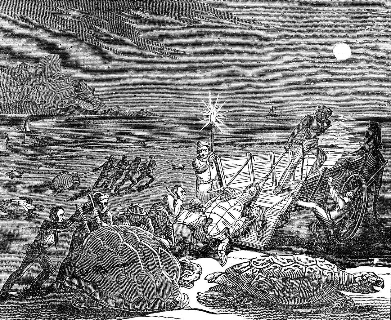 Żółwie zielone i żółwie karłowate schwytane na wybrzeżu Kuby, 1832 autorstwa Unbekannt
