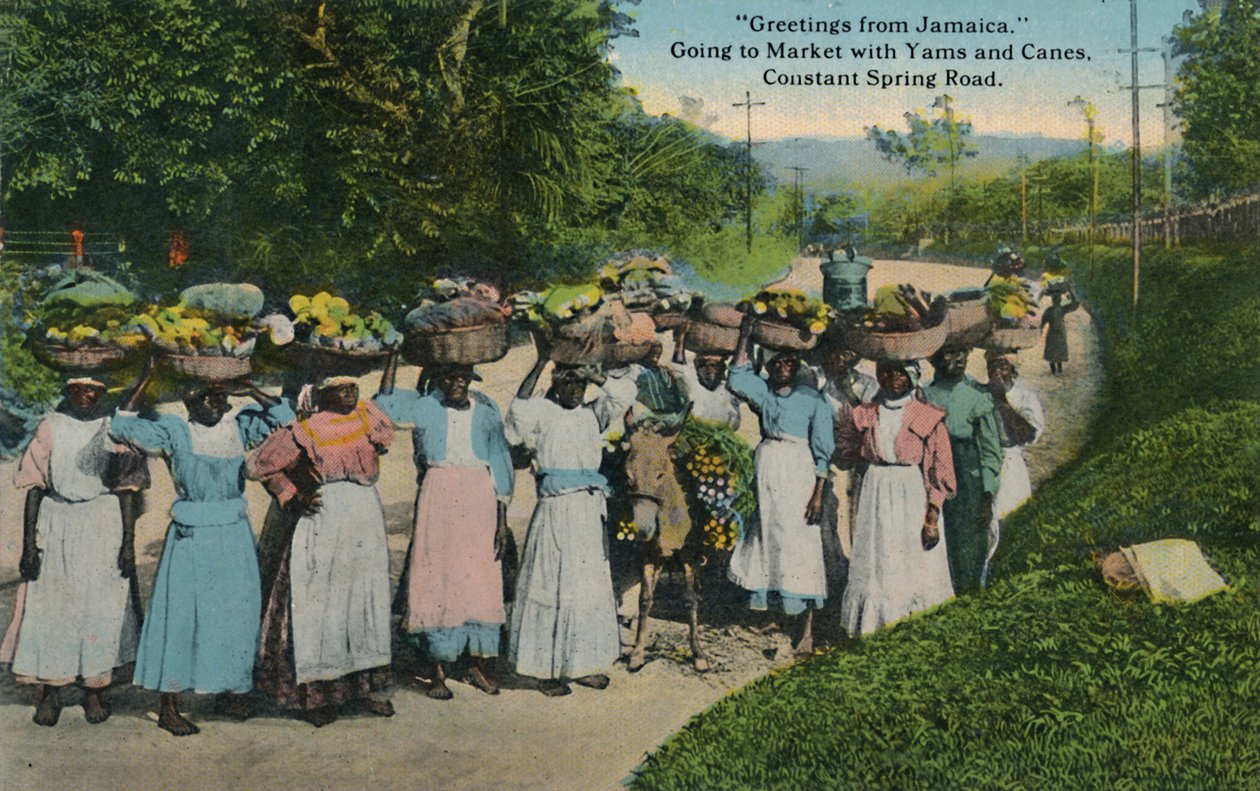 Pozdrowienia z Jamajki. Idąc na targ z batatami i laskami. Constant Spring Road, 1913. autorstwa Unbekannt