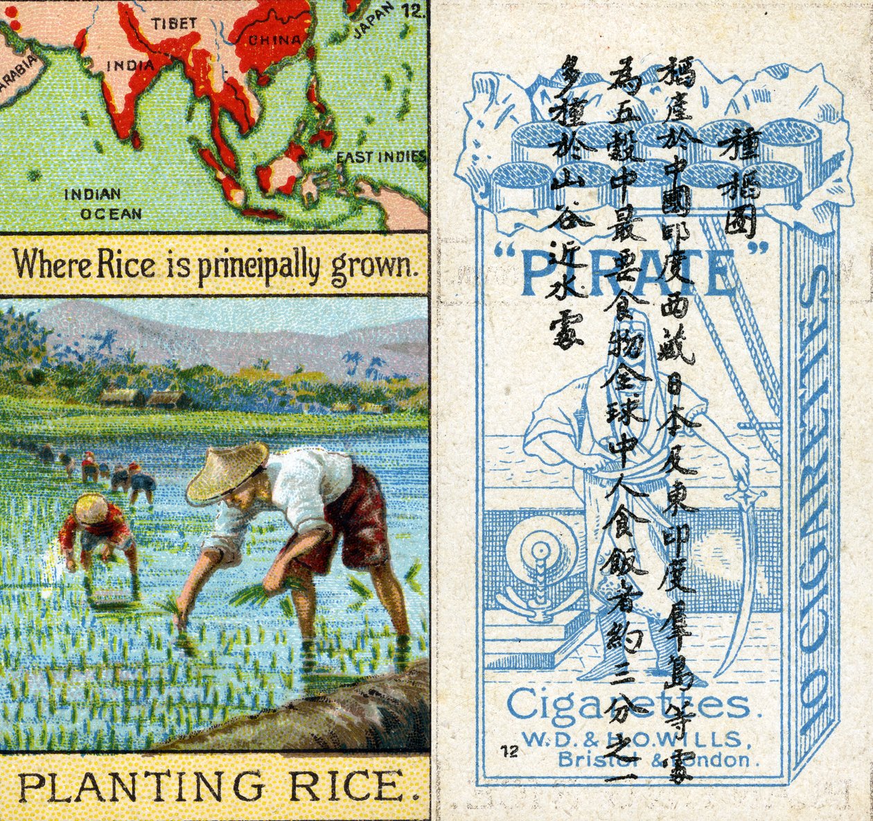 Growing and Planting Rice, z serii kart papierosowych „Products of the World” produkowanych przez Wills „Pirate” Cigarettes na rynek w Chinach autorstwa Unbekannt