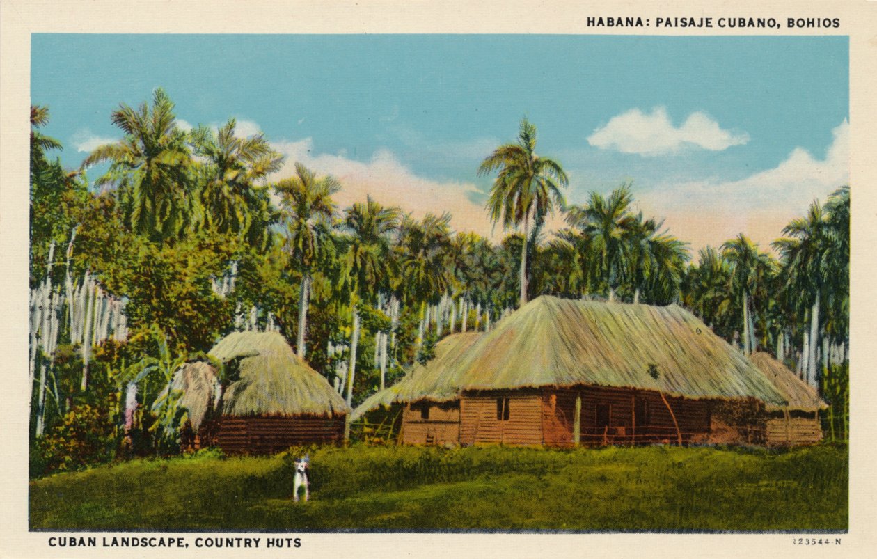 Hawana: Kubański krajobraz, Bohios. Kubański krajobraz, wiejskie chaty, ok. 1910 r. autorstwa Unbekannt