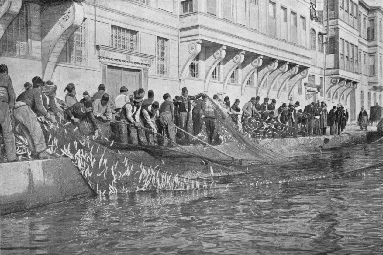 Holowanie Grippo 15000 ryb w Emirgian nad Bosforem, c1901, 1903 autorstwa Unbekannt