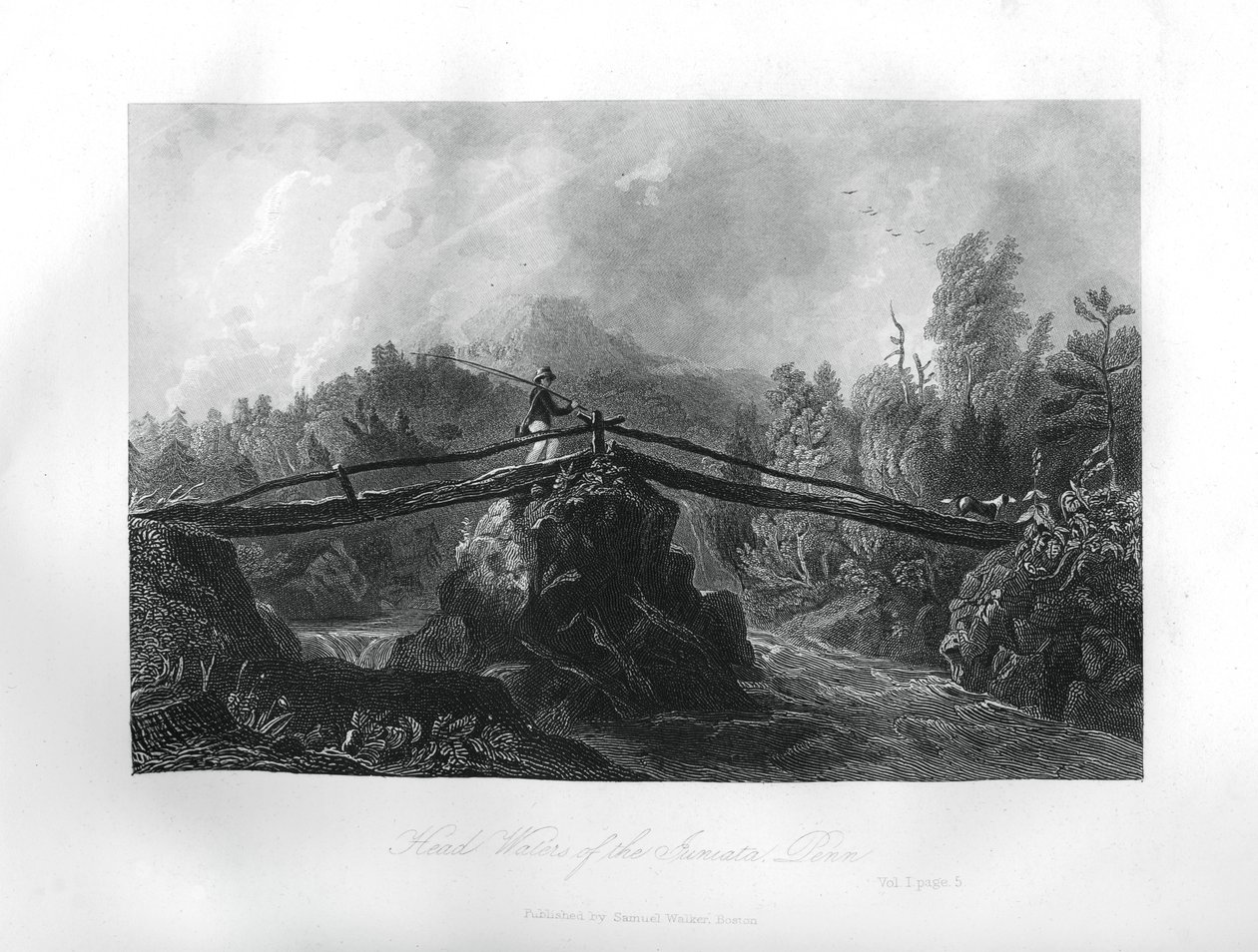 Dorzecze rzeki Juniata, Pensylwania, 1855 autorstwa Unbekannt