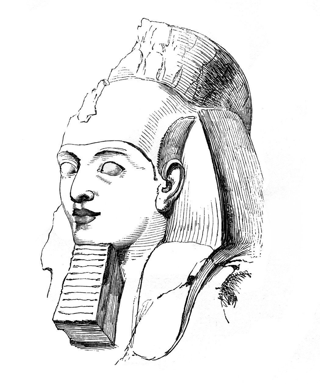 Głowa Ramzesa, 1848 autorstwa Unbekannt