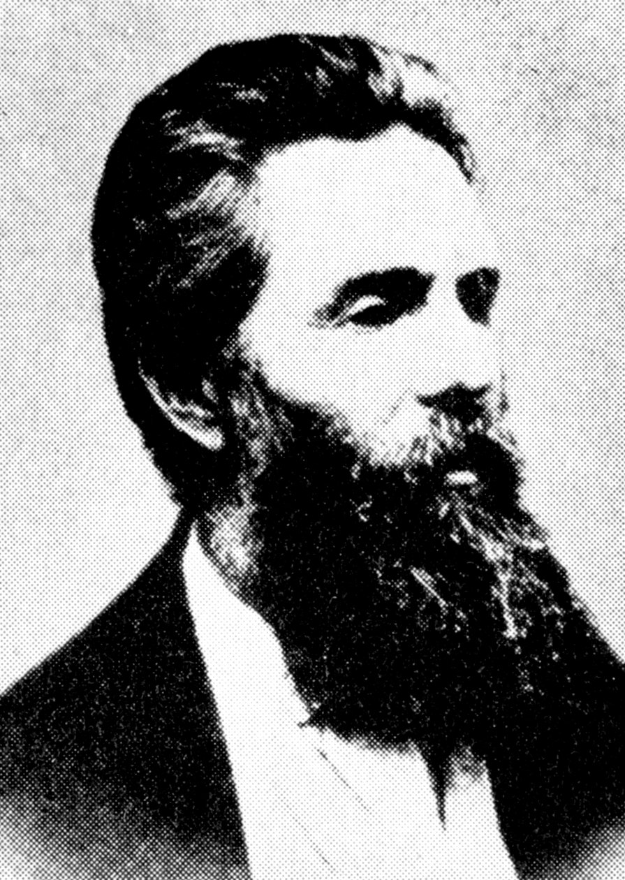 Herman Melville, amerykański pisarz, XIX wiek autorstwa Unbekannt