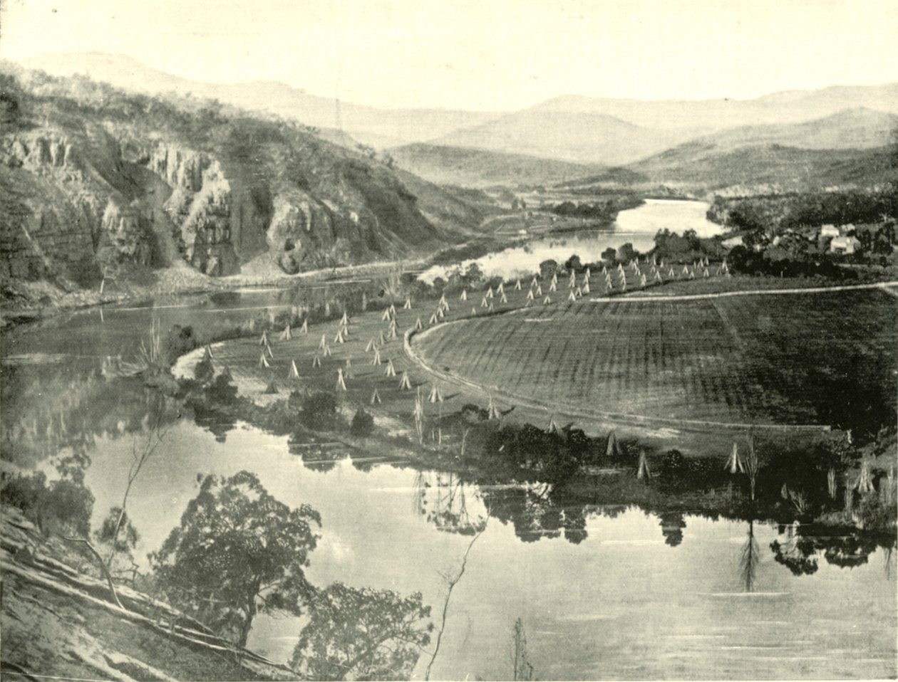 Ogrody chmielowe na Tasmanii, 1901. autorstwa Unbekannt