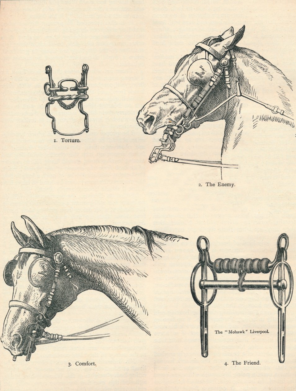 Wędzidła koni, dobre i złe, c1909 c1910 autorstwa Unbekannt