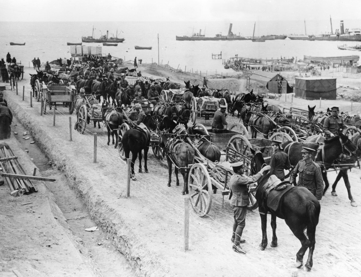 Transport konny, operacje alianckie w Dardanelach, Turcja, 1915-1916 autorstwa Unbekannt