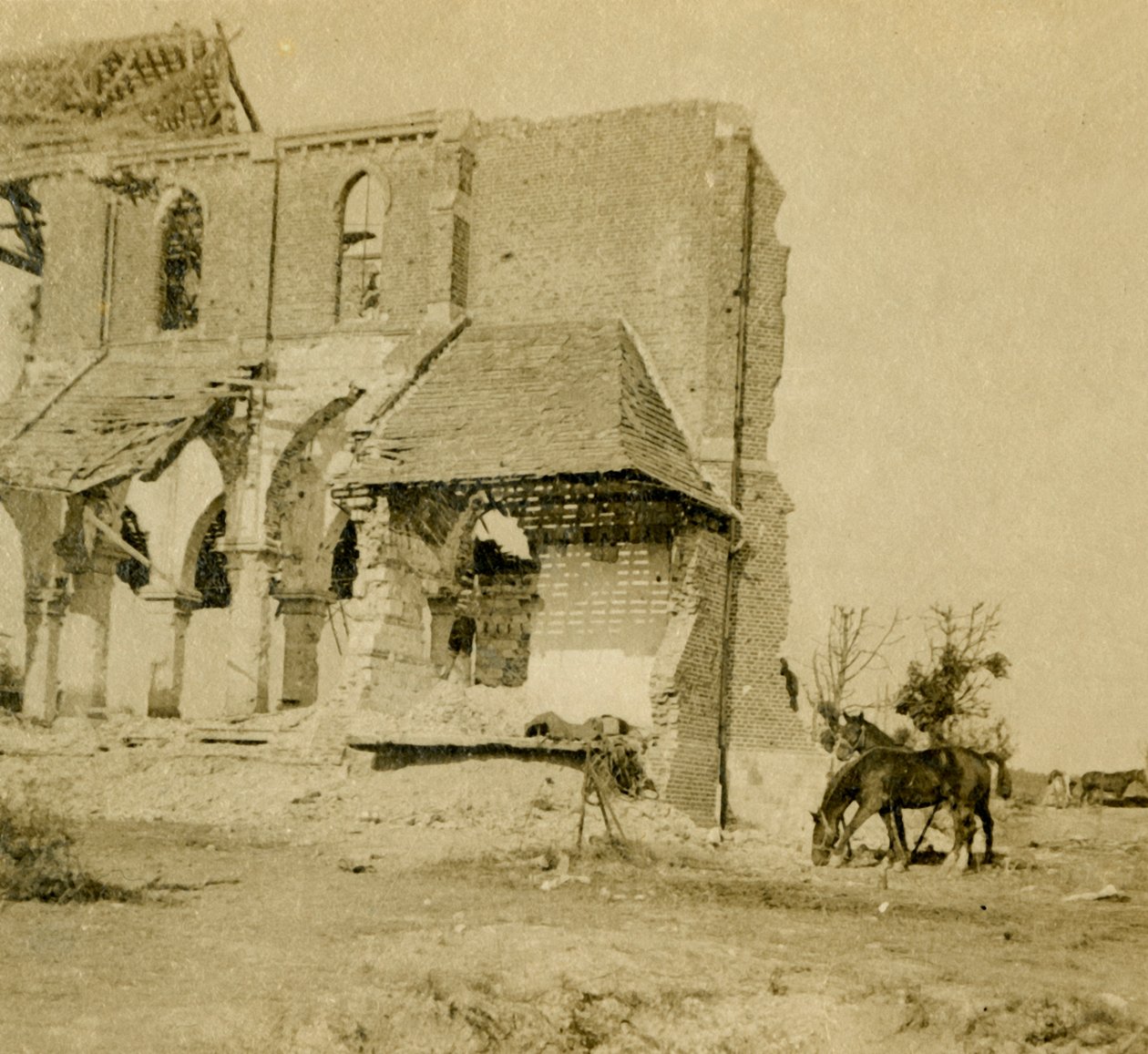 Konie pasące się w pobliżu zrujnowanego kościoła, Frise, północna Francja, c1914-c1918 autorstwa Unbekannt