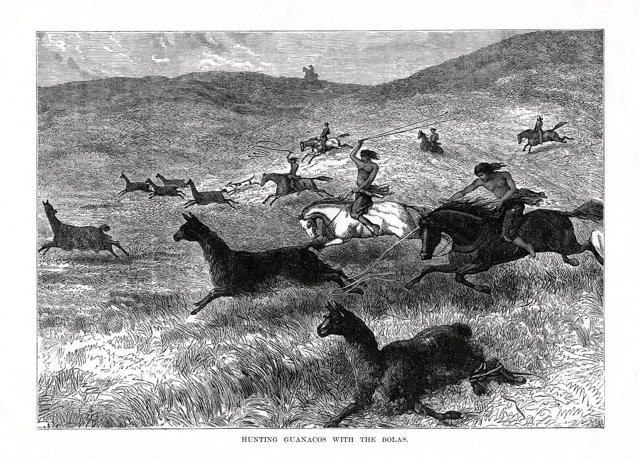 Polowanie na guanako z bolasem, Ameryka Południowa, 1877 r. autorstwa Unbekannt
