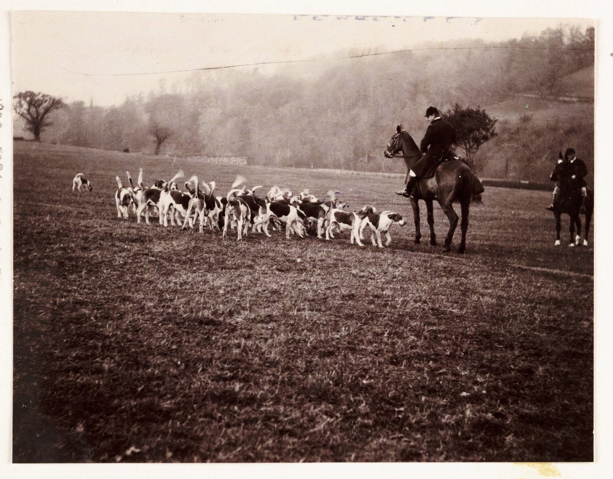 Myśliwy i psy gończe, ok. 1905 autorstwa Unbekannt