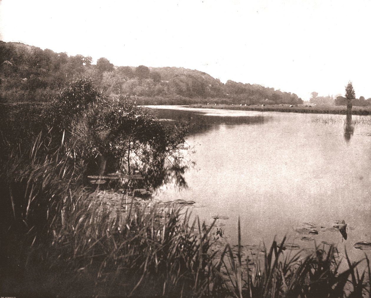 Hurley Reach, Tamiza między Bisham a Medmenham, Buckinghamshire, 1894. autorstwa Unbekannt