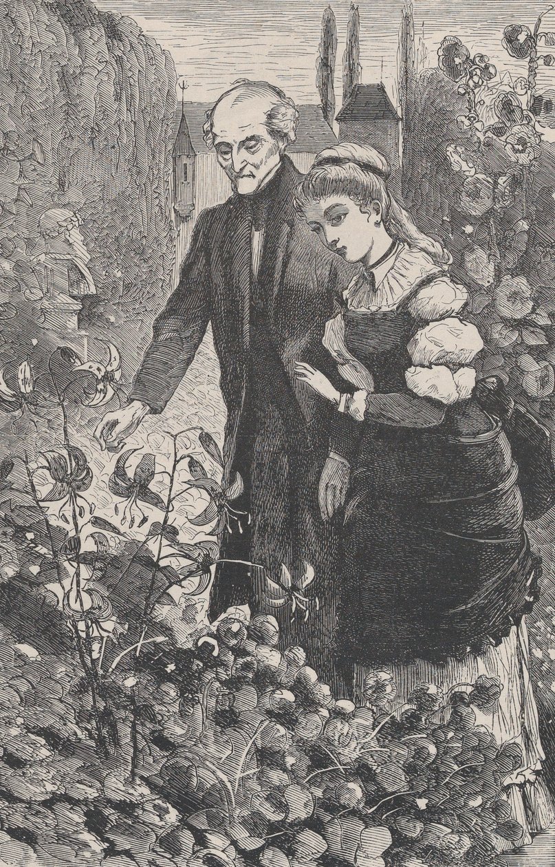 Nazywam je moimi dziećmi - dla siebie, Susan The Galaxy, magazyn ilustrowany z..., październik 1869. autorstwa Unbekannt