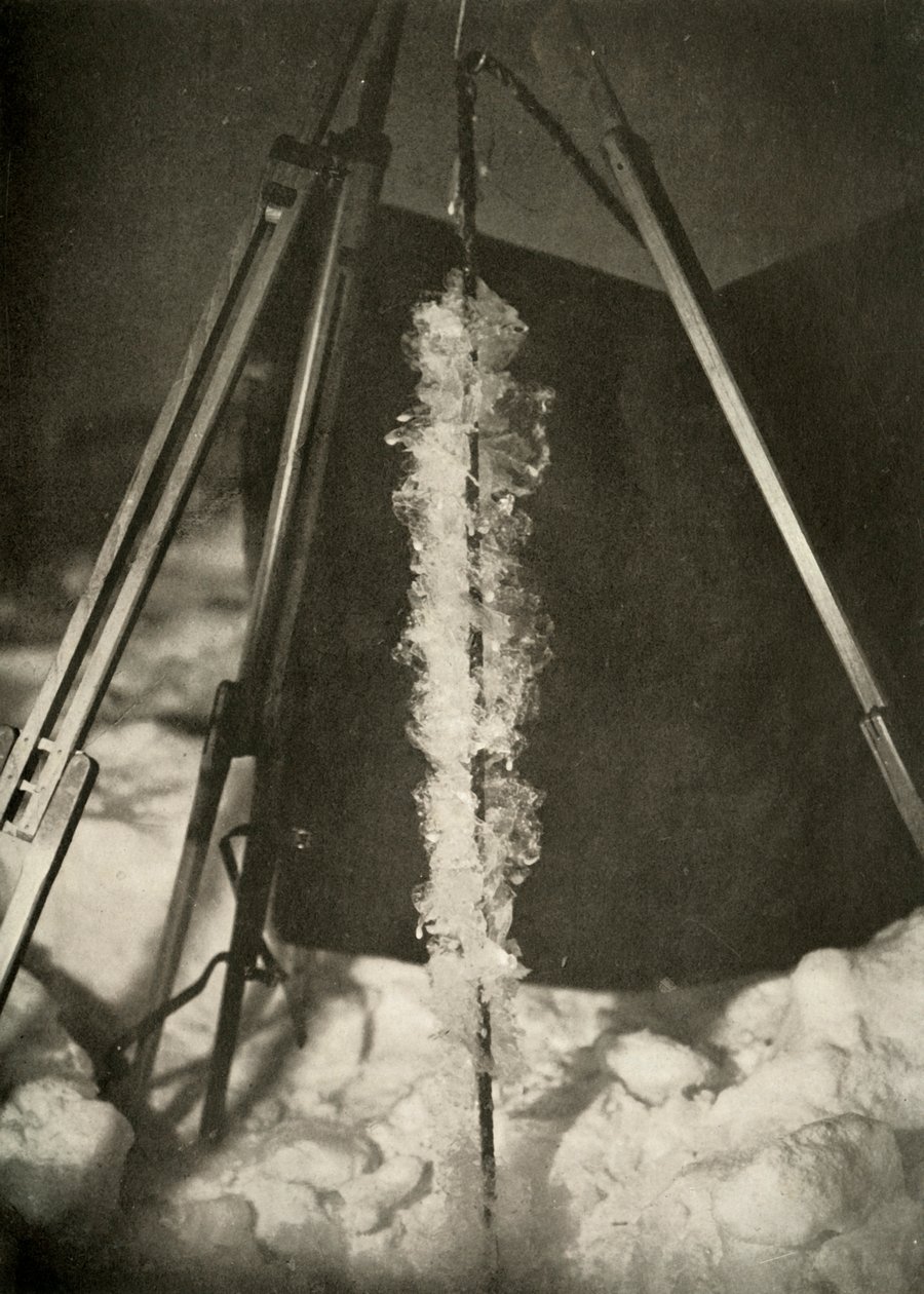 Kryształki lodu uformowane na linii pułapki na ryby, c1908, 1909 autorstwa Unbekannt