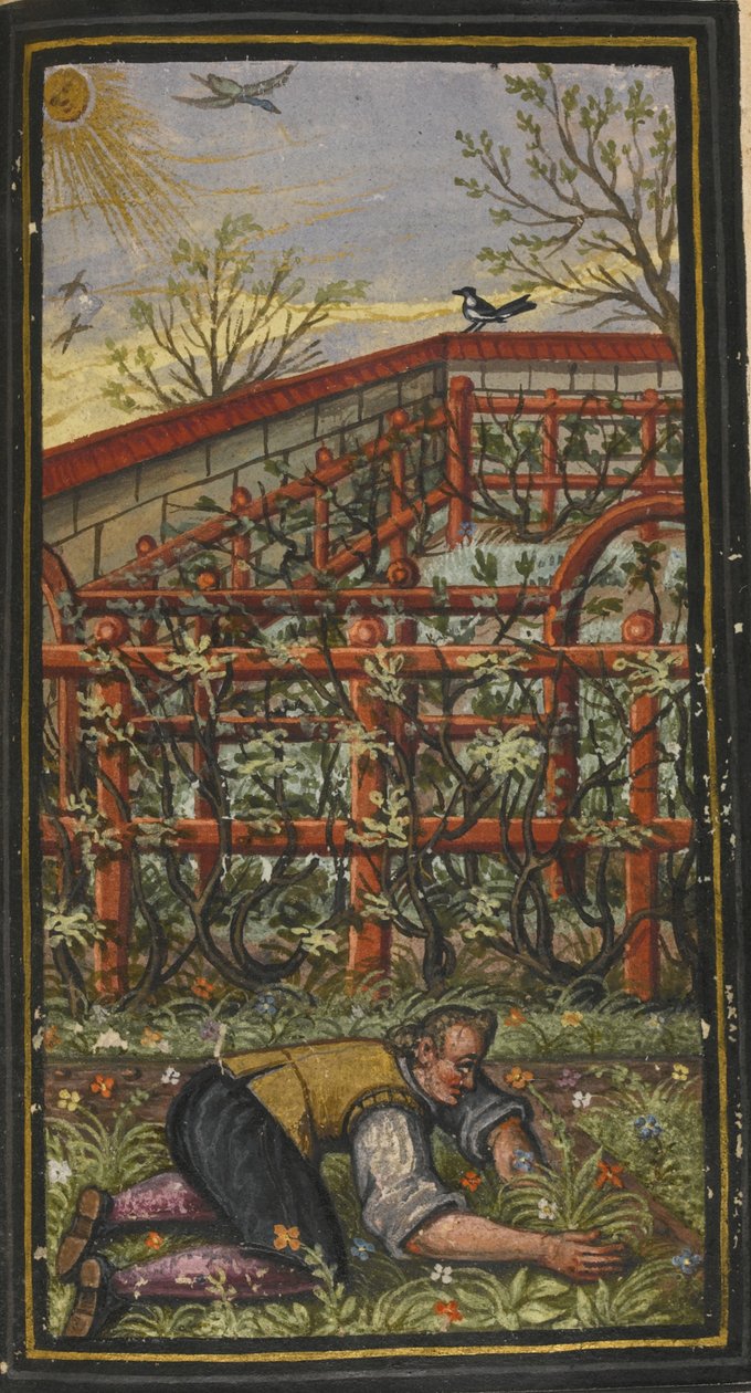 Ilustracja do Cudownego lata życia wiecznego von Jacoba Zadera, 1603 autorstwa Unbekannt