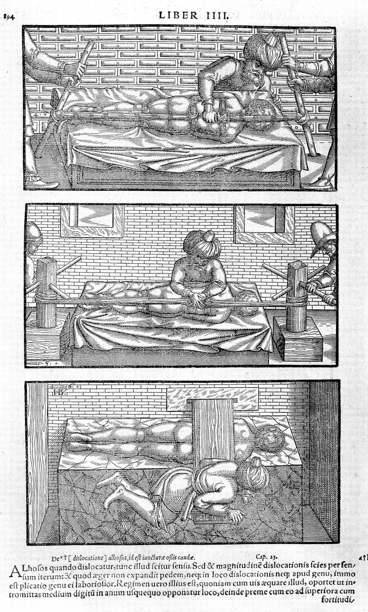 Ilustracja z Awicenny, 1556 autorstwa Unbekannt
