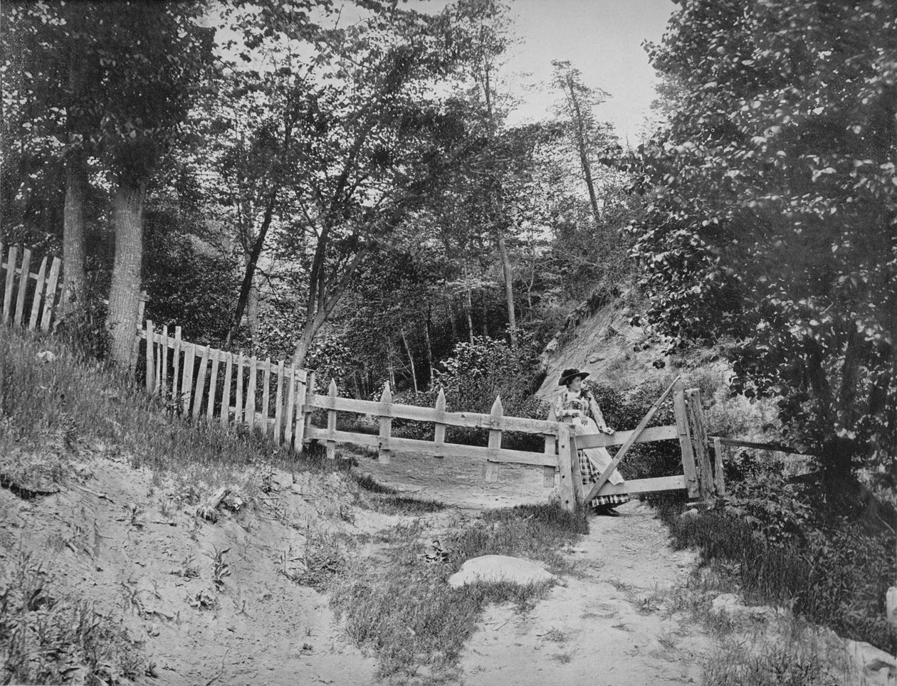 Na wzgórzach Berkshire w stanie Massachusetts, ok. 1897 r. autorstwa Unbekannt