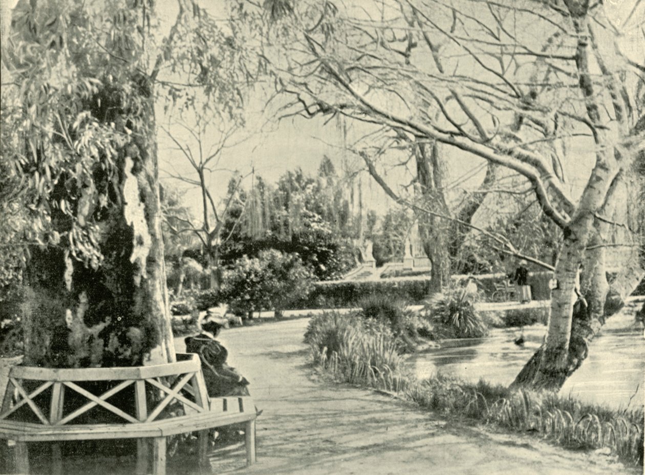 W Ogrodzie Botanicznym, Adelajda, 1901. autorstwa Unbekannt