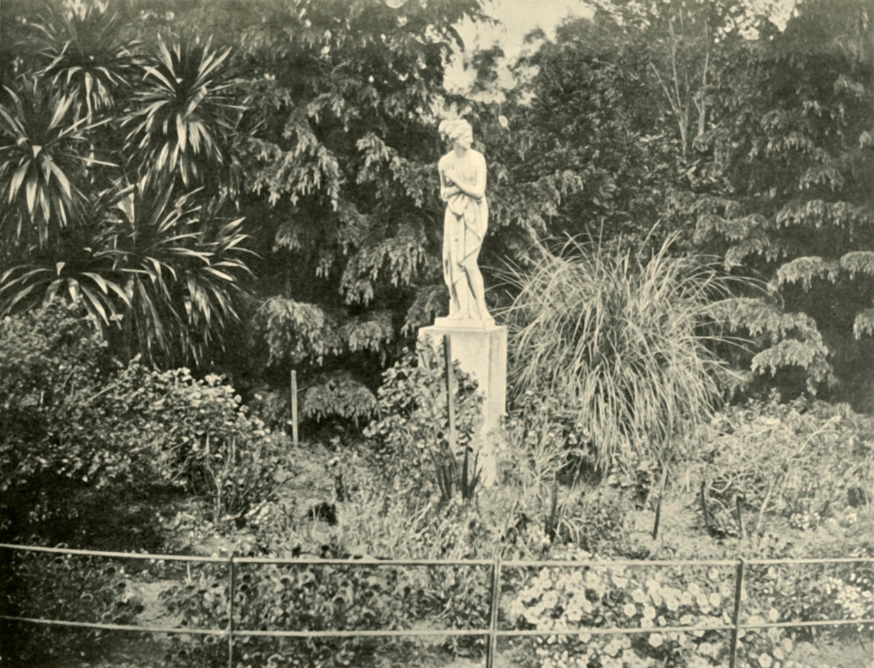 W Ogrodach Fitzroya, Melbourne, 1901. autorstwa Unbekannt