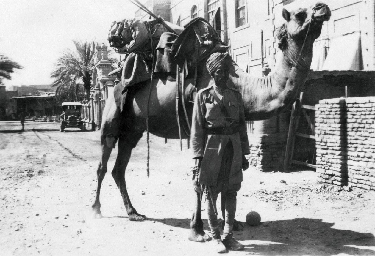 Indyjski żołnierz na wielbłądach, Bagdad, 1918 autorstwa Unbekannt