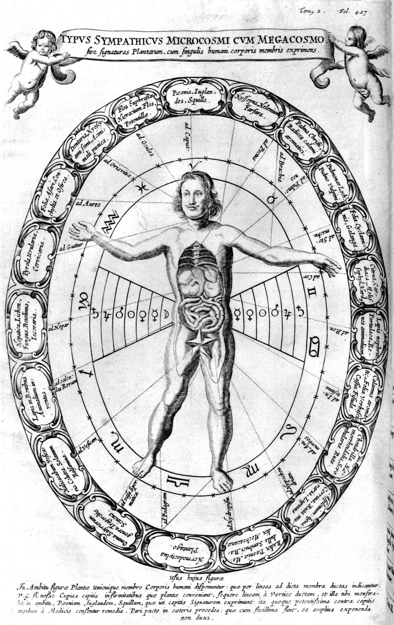 Wpływ Wszechświata, Makrokosmosu, na Człowieka, Mikrokosmos, 1678 autorstwa Unbekannt