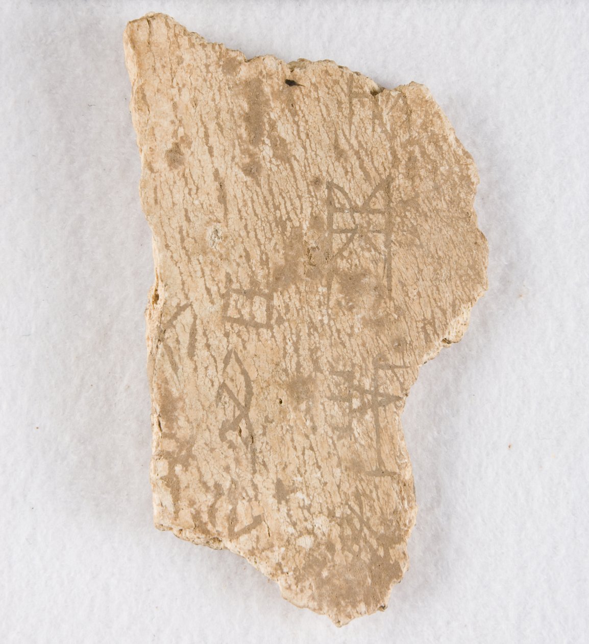 Wpisany fragment kości kości wyroczni, późna dynastia Shang, ca. 1300-1050 p.n.e. autorstwa Unbekannt