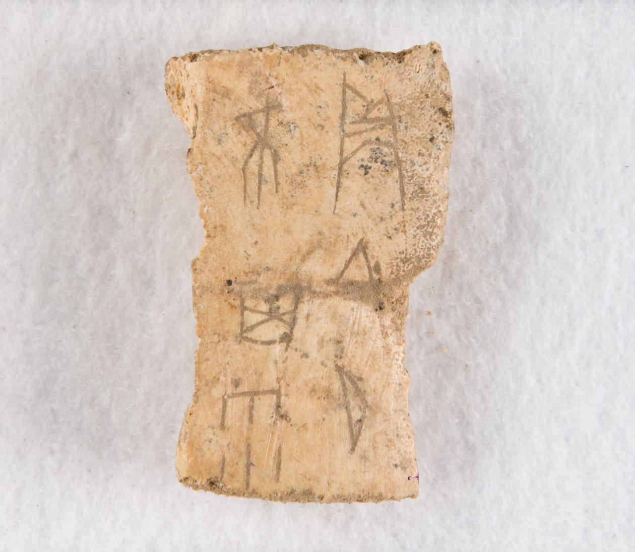 Wpisany fragment kości kości wyroczni, późna dynastia Shang, ca. 1300-1050 p.n.e. autorstwa Unbekannt