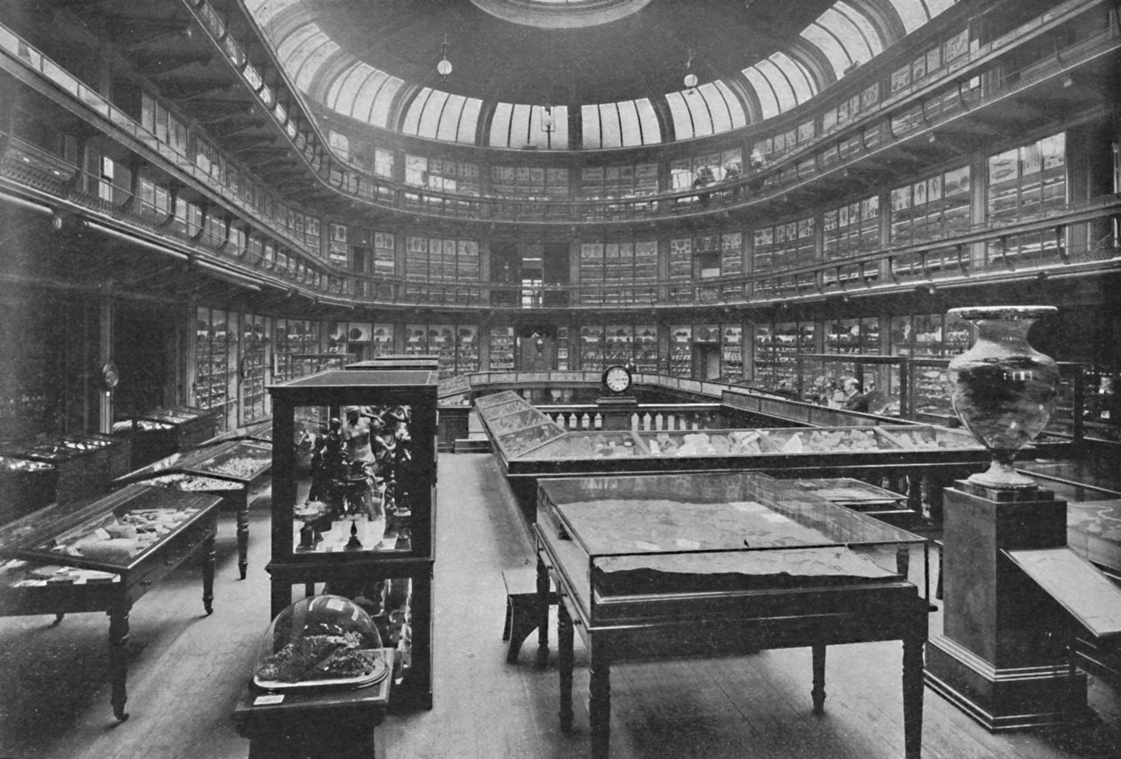 Wnętrze Muzeum Geologicznego, ul. Jermyn, 1904 autorstwa Unbekannt