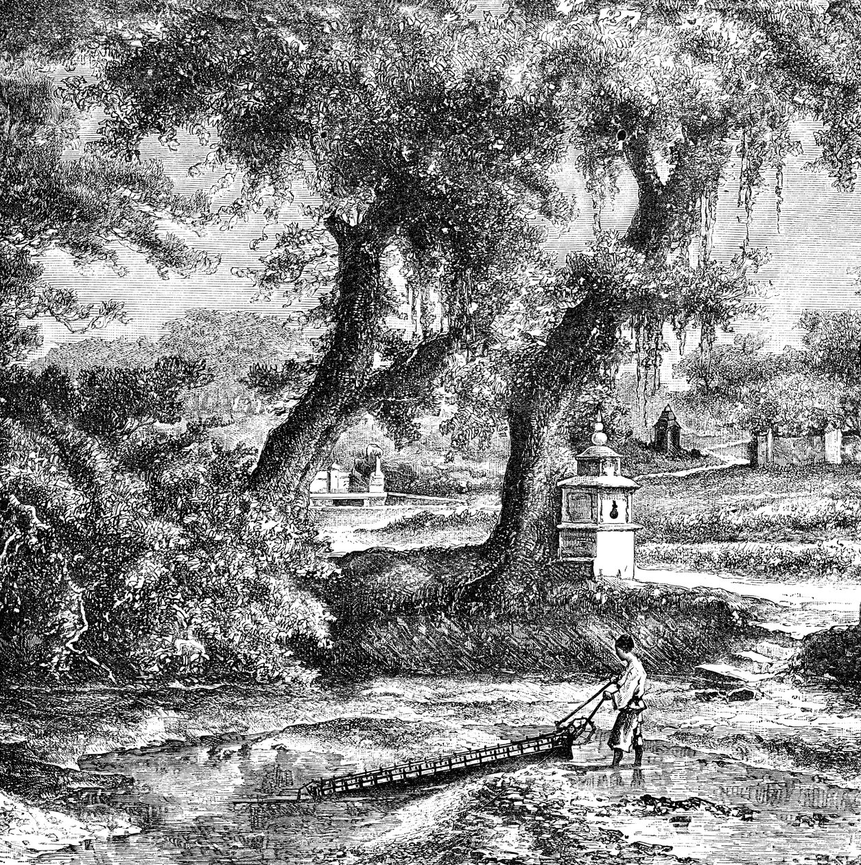 Pompa nawadniająca, Chiny Południowe, c1890 autorstwa Unbekannt