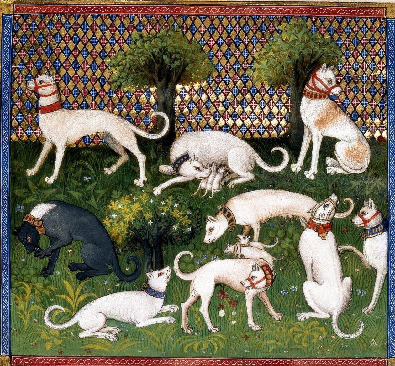 Jagdhunde (Alan) / Księga łowów autorstwa Unbekannt