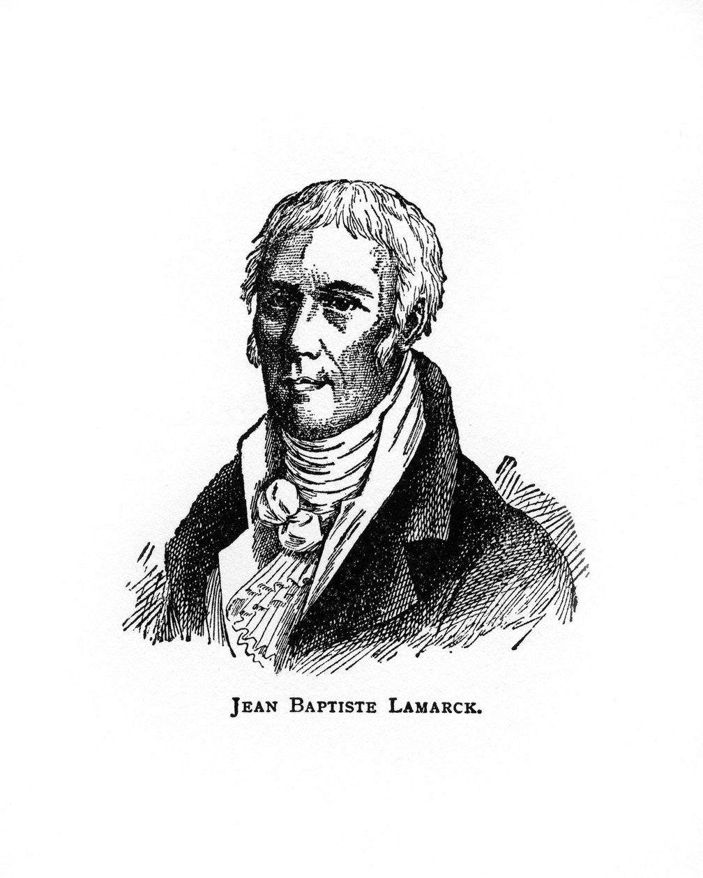 Jean-Baptiste Lamarck, francuski przyrodnik, XX wiek autorstwa Unbekannt