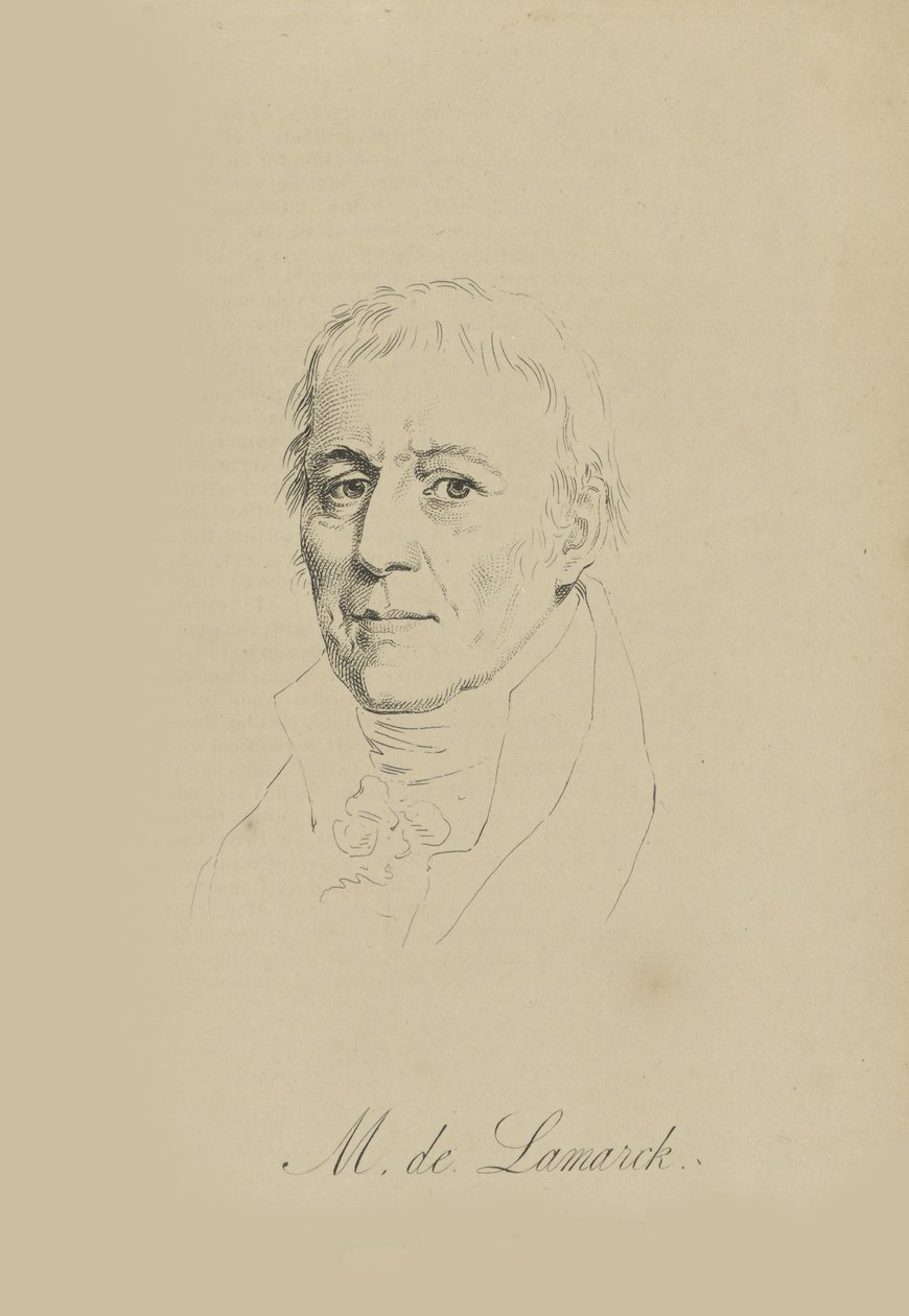 Jean-Baptiste Pierre Antoine de Monet, Chevalier de Lamarck 1744-1829, ok. 1930 r. 1810. autorstwa Unbekannt