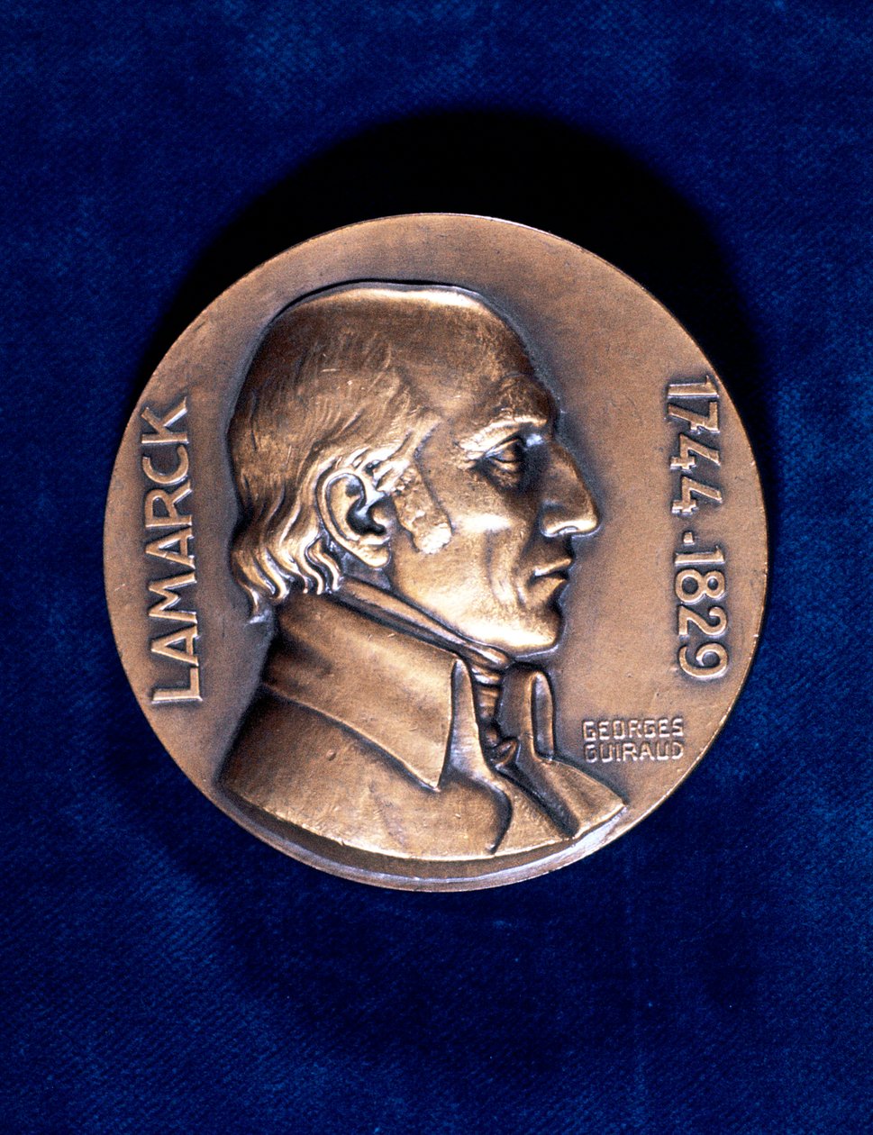 Jean Lamarck, francuski przyrodnik autorstwa Unbekannt