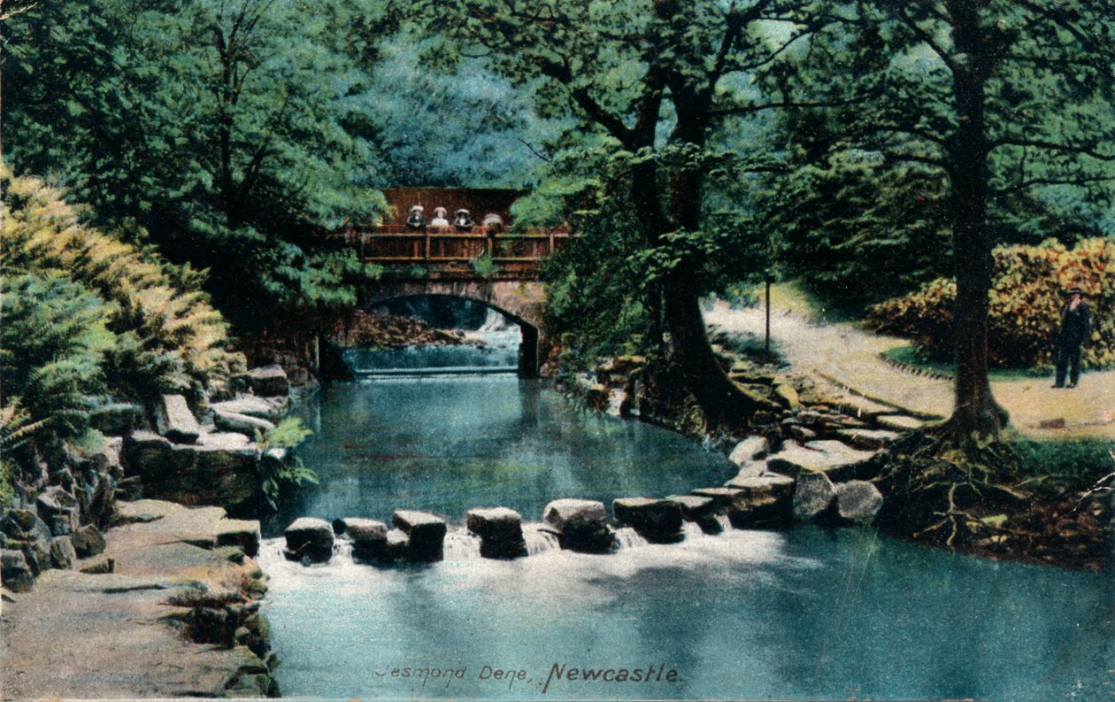 Jesmond Dene, Newcastle, c1905 autorstwa Unbekannt