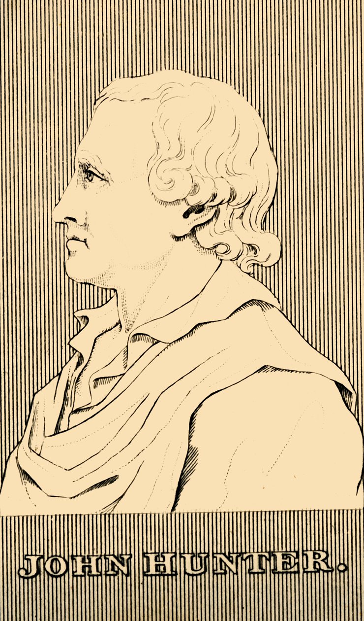 John Hunter, 1728-1793, 1830. autorstwa Unbekannt